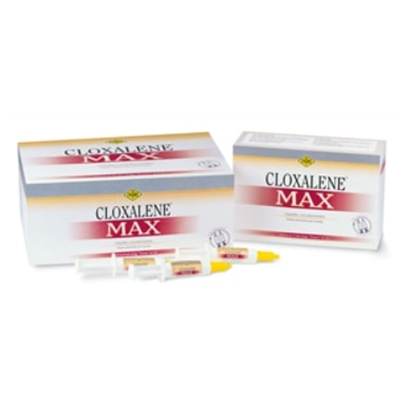 CLOXALENE MAX 600MG/300MG 12 SIRINGHE